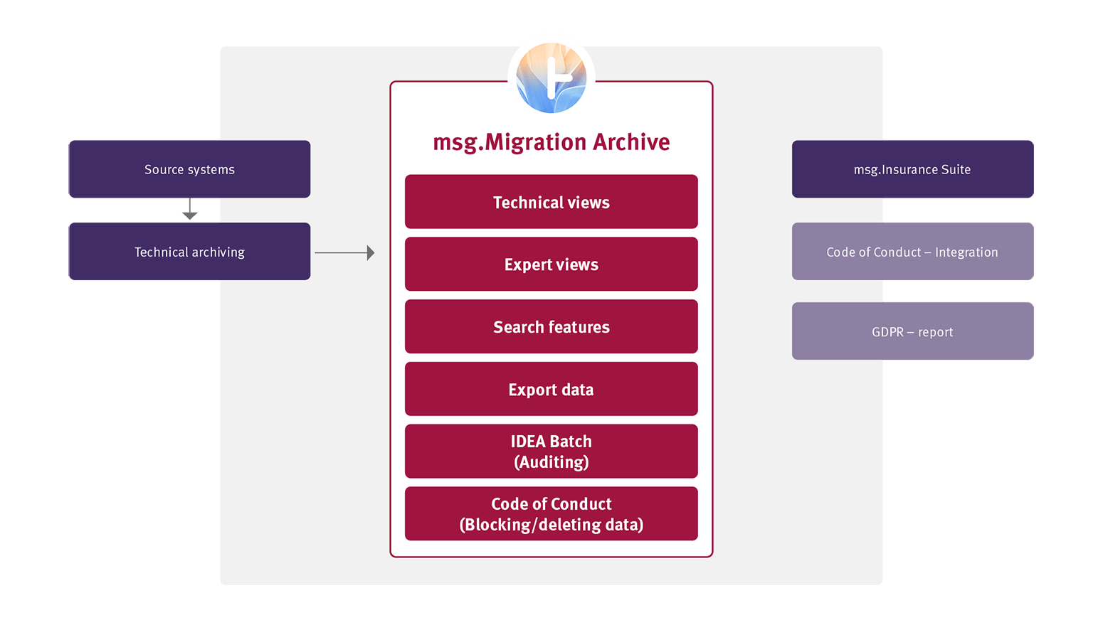 Infographic: Shows msg.Migration Archive's key features, namely: Technical and Expert Views, Search Features, Export Data, IDEA Batch (Auditing) and Code of Conduct.